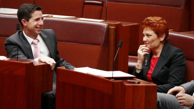 Simon Birmingham with Senator Pauline Hanson in the Senate on Wednesday. Photo: Alex Ellinghausen

