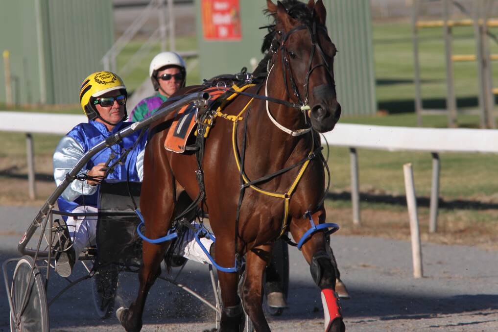 PLACED AGAIN: Man Hands, being driven by Malcolm Diebert in a trial, ran second at Bendigo on Tuesday night. Picture: John Gray