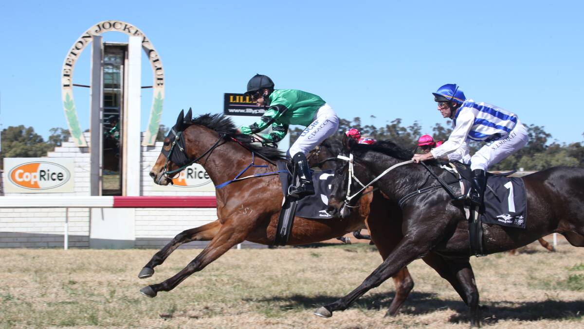 NICE WIN: Patrika Belle holds out Nishani Spirit to win the opening race at Leeton on Tuesday on debut. Picture: Anthony Stipo
