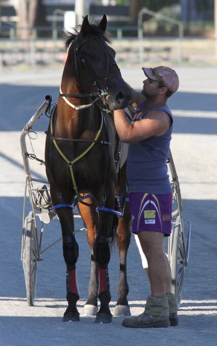 STABLEHAND Grant Coelli put a lot of work into Man Hands in the lead up and makes some final adjustments before a trial run at Lin Gordon Paceway on Tuesday.