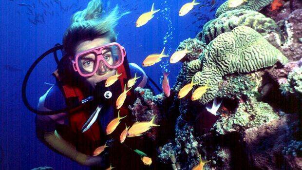The Great Barrier Reef has avoided being listed by the UN as "in danger". Photo: Brian Cassey