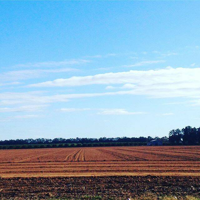 #LEETON: @jen_g1974 - All ready for the next trees to be planted.