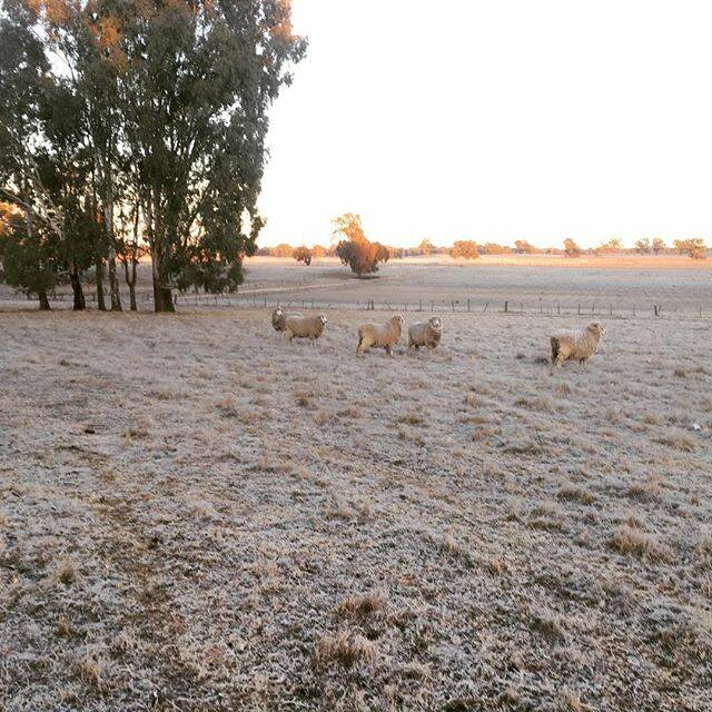 #LEETON: @ballyvaughan_ - Frosty start to the day. Photo by @_miasandilands
