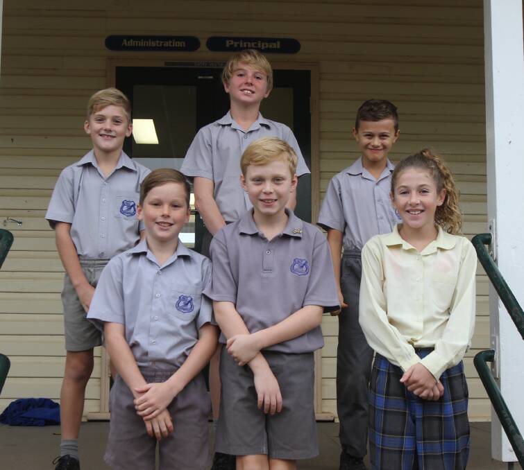 STATE SUCCESS: Eli Doyle, Flynn Anthony, Arlo Ciavarella, Kayden Hillier, Tom Cooper and Sari Leighton all tasted success at PSSA State Swimming Carnival. PHOTO: Liam Warren