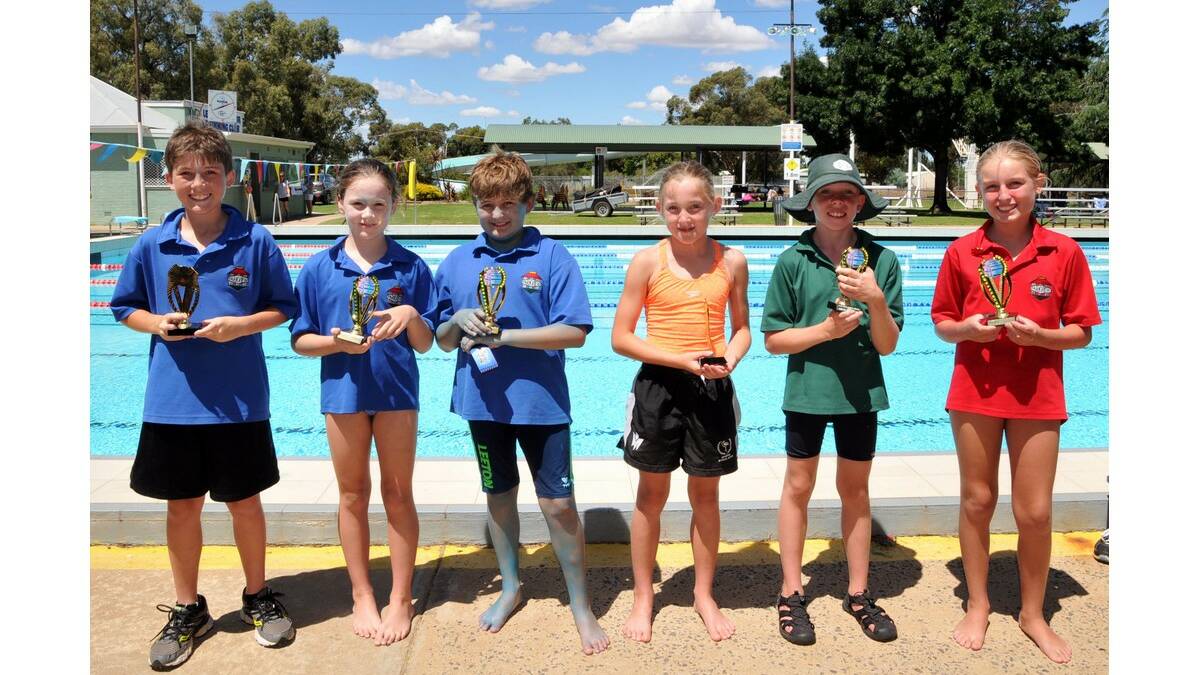 Parkview Public School held its annual swimming carnival on February 4 to great success. 