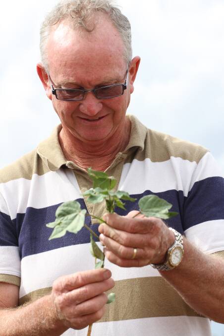 HERE TO HELP: Based at Yanco, new Department of Primary Industries cotton research officer, Steve Buster, is supporting growers across the region. 