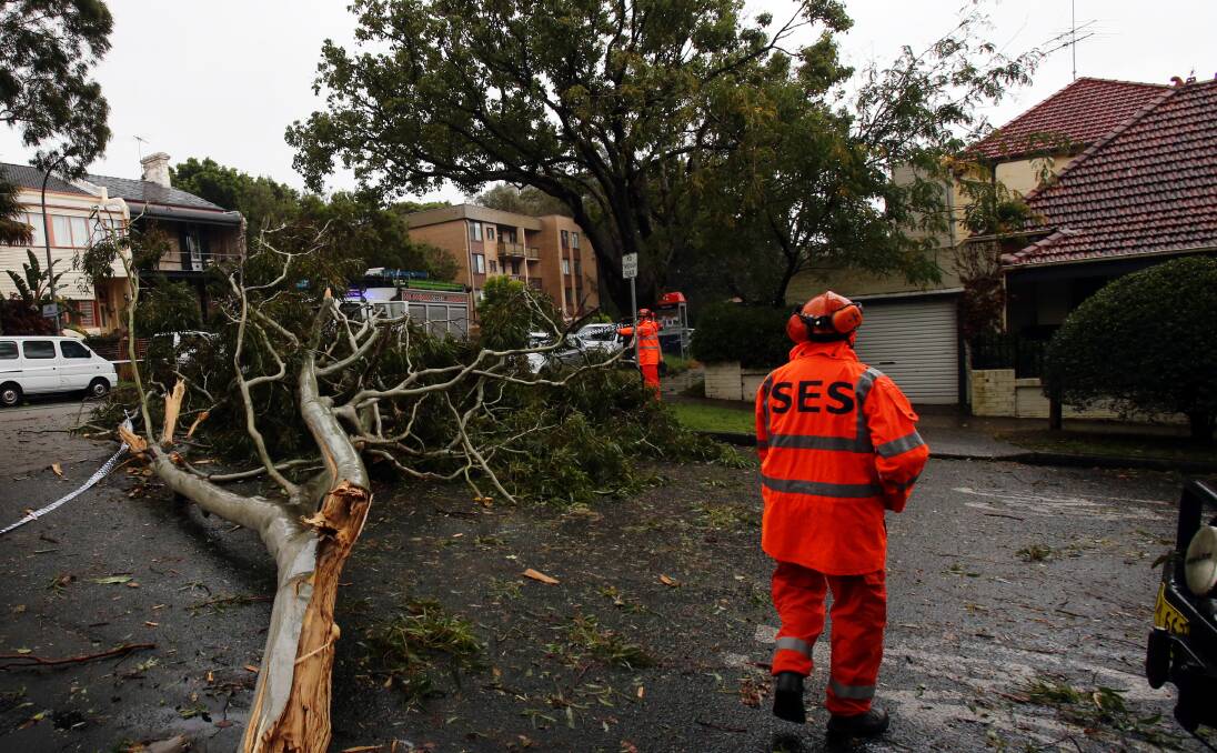 BIG JOB: Leeton State Emergency Service volunteers have been assisting with the clean up in Sydney following severe storms that caused damage like this.
