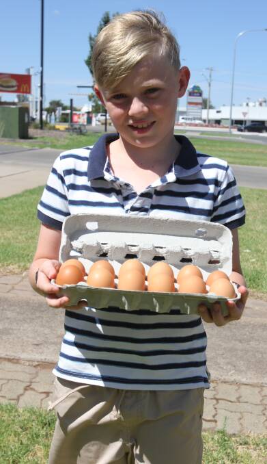 STARTING YOUNG: Leeton shire's Hamish Johnstone has his own egg "business" at the tender age of 11. Photo: Talia Pattison 