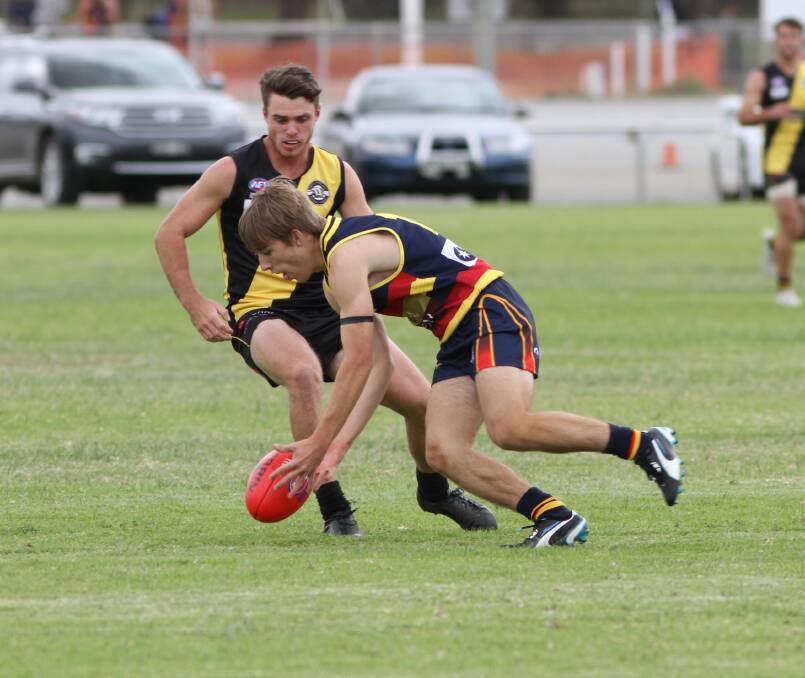 COMPETE: Leeton-Whitton's Jayden Lehman scoops up the ball during the Crows match against Wagga Tigers on May 9. 
