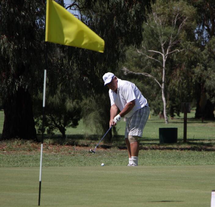 STEADY DOES IT: Mick Burton plays his shot at the Leeton golf course last Saturday. The greens have been producing solid results in all competitions, including twilight golf. Photo: Ron Arel 