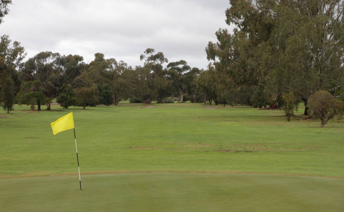 LOOKING GOOD: Golfers have thanked Leeton Shire Council for their efforts in maintaining the greens at the golf course. Photo: Ron Arel 