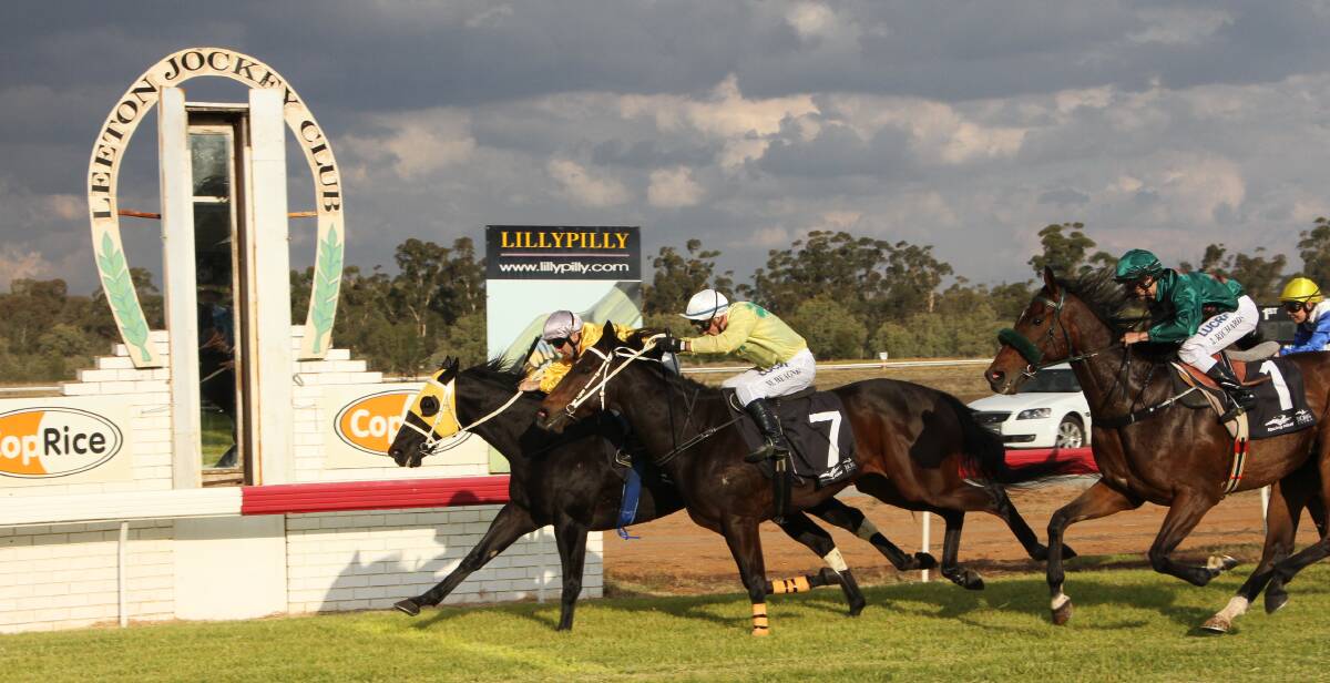 BY A NOSE: Black Fusion managed to pull through the pack just enough to get his nose across the line to win the Leeton Cup at the Jockey Club on Saturday. Photo: Ron Arel