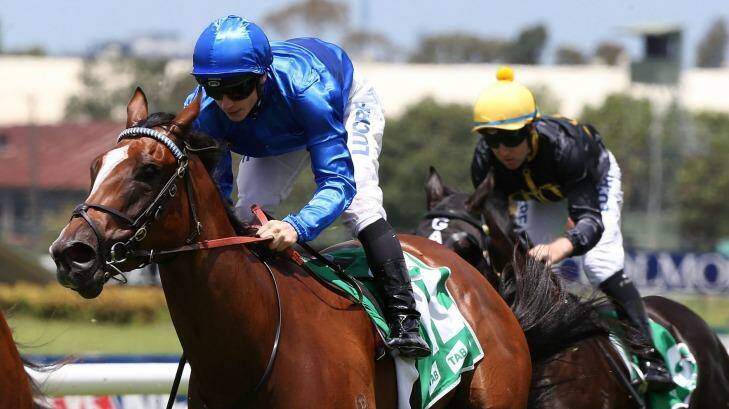 Brilliant victory: James McDonald gets Ottoman home at Rosehill on Saturday. Photo: Anthony Johnson/Getty Images