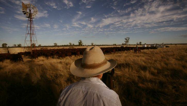 S Kidman & Co's cattle stations occupy vast amounts of land across Australia. Photo: Andrew Meares