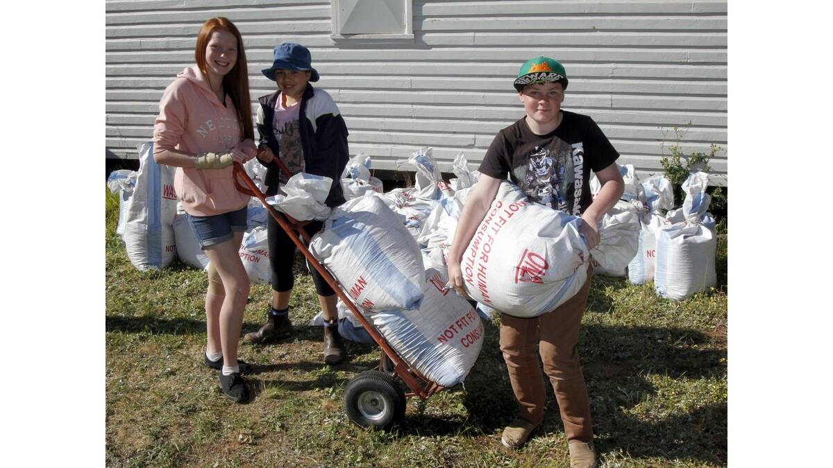 WORKING hard at the Scouts Moo Poo Drive were (from left) Emily Kearines, 13, Leanne Cristofaro, 11, and Kurt Bloomfield, 13.