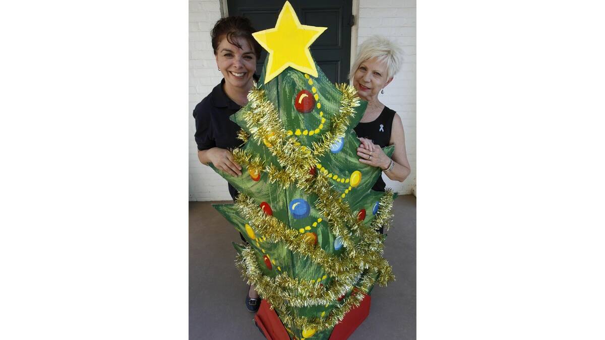 COMMUNITY Christmas party organisers Fran Artese (left) and Maureen Sheldrick are ready for the event.