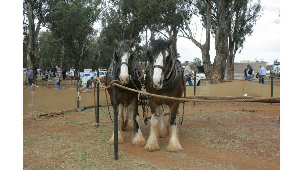 BARELLAN will once more throw back to the past over the long weekend.