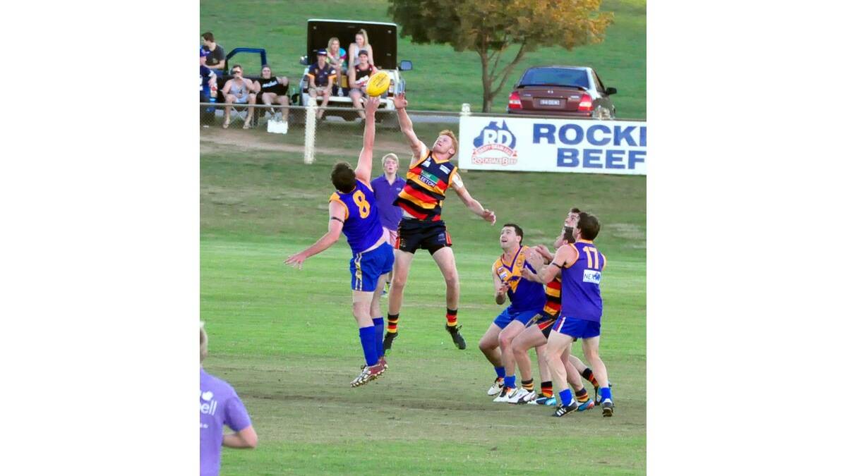 RUCKMAN Mason Dryburgh leaps high to get the tap from a centre bounce. Photo: Narrandera Argus