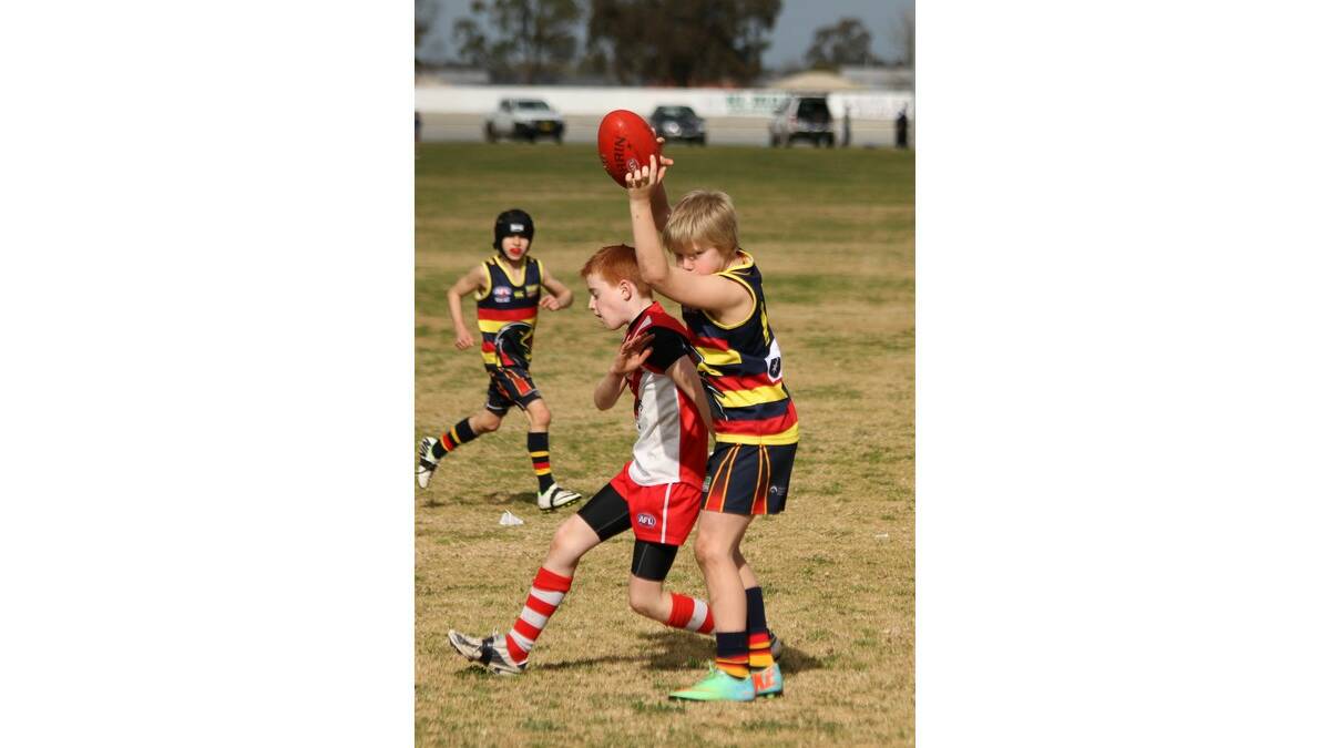 TAJ Doyle claims this mark over a Griffith opponent in the under 11s.