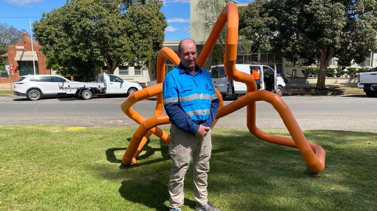 COUNCIL SHOULD PRIORITISE: Daryl Odewahn says council needs to better prioritise what is a luxury and what is a necessity. He told The Irrigator that art installations such as this one are nice but an unnessecary use of council funds. PHOTO: Lizzie Gracie