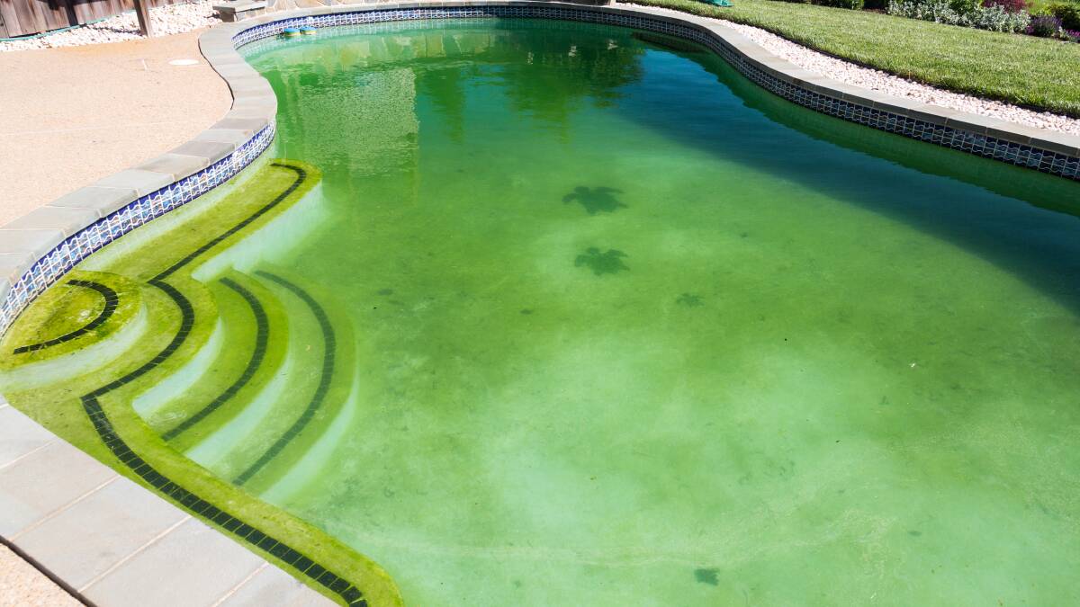 Council to conduct pool safety checks