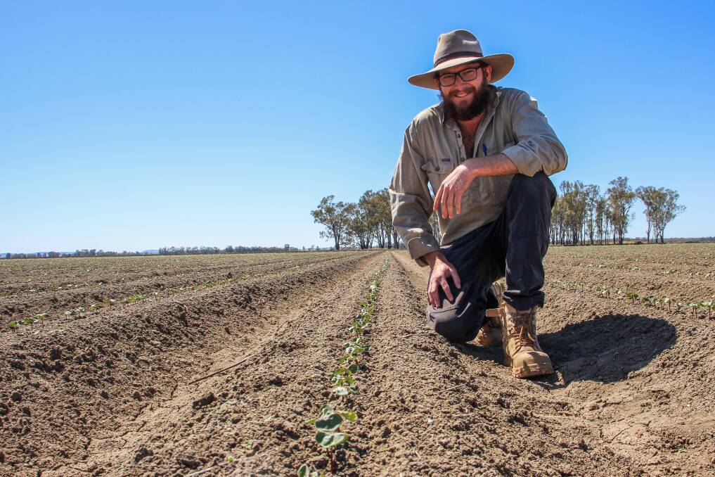 Leeton shire's Nick Ronfeldt at Gogeldrie where cotton was all planted before the first of October. 