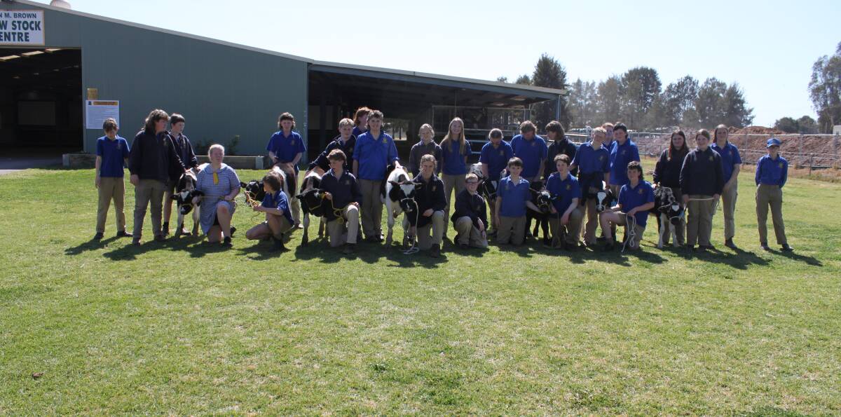 Yanco's Year 7 cohort with the calves. Picture supplied.