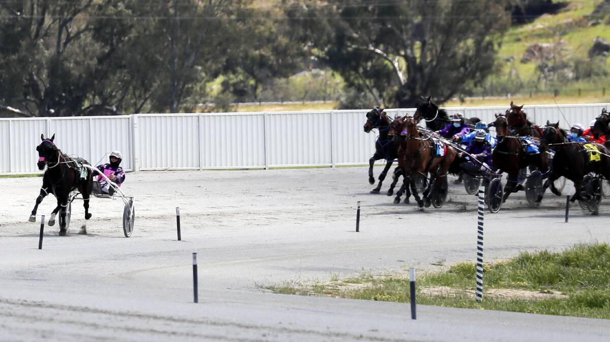 SEE YOU LATER: Tom Kat put a big gap on his rivals from the 600m mark to win easily at Wagga's harness meeting on Friday. Picture: Les Smith