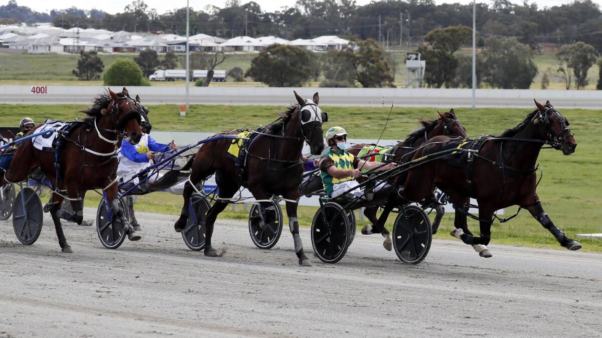 Escape Artist saluted at Wagga, despite doing plenty wrong on Friday. Picture: Les Smith