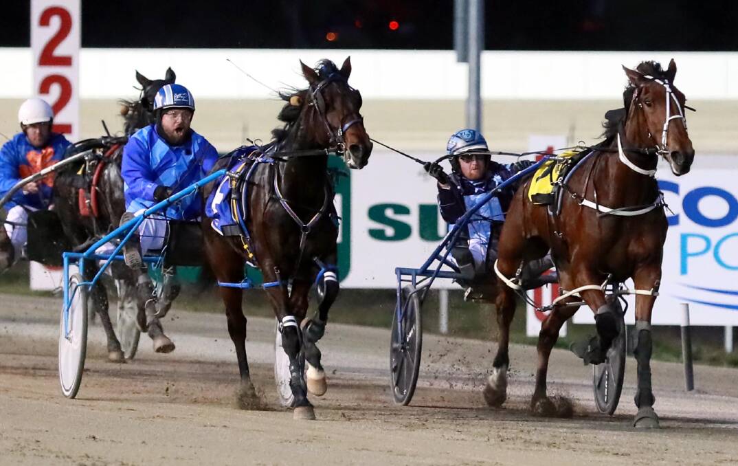 FOUR IN A ROW: Roll A Dream (left), with Daryll Perrot on board, holds off Notorious Joe in a tight finish to the opening race. Picture: Les Smith