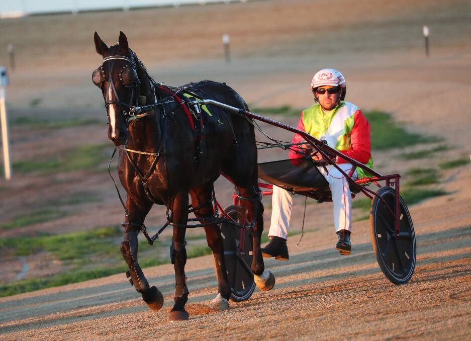 JOB DONE: Gerard Cooper brings Shame To Fame back after winning the opening race at Riverina Paceway on Monday night. Picture: Emma Hillier