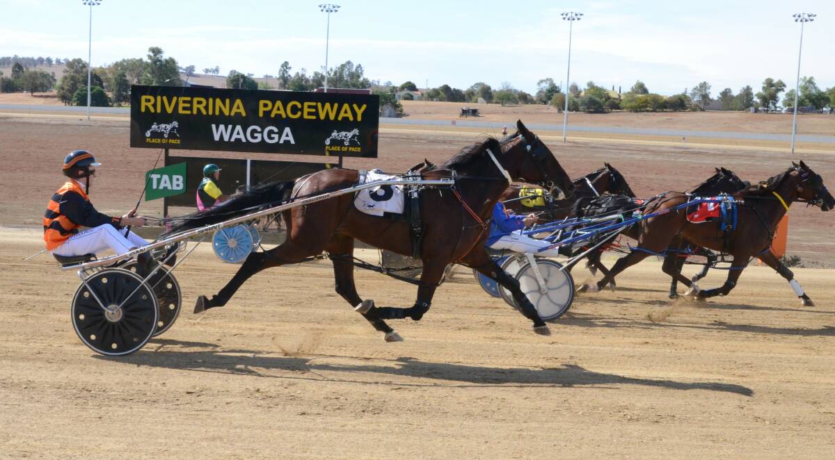 ON THE UP: Leeton driver Sebastian Piltz, pictured driving Special Bet at Wagga, enjoyed his first win on Tuesday at Junee.