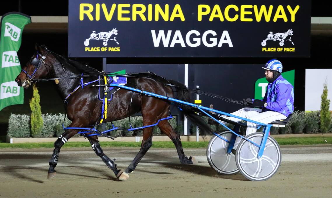 Roll A Dream returns after her fourth successive victory on Tuesday night. Picture: Les Smith