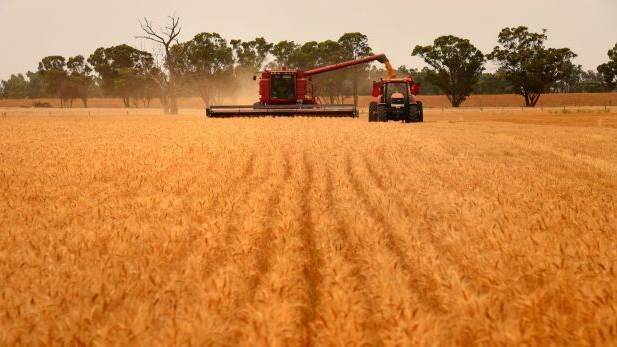 RFS issue harvest safety warning for MIA communities