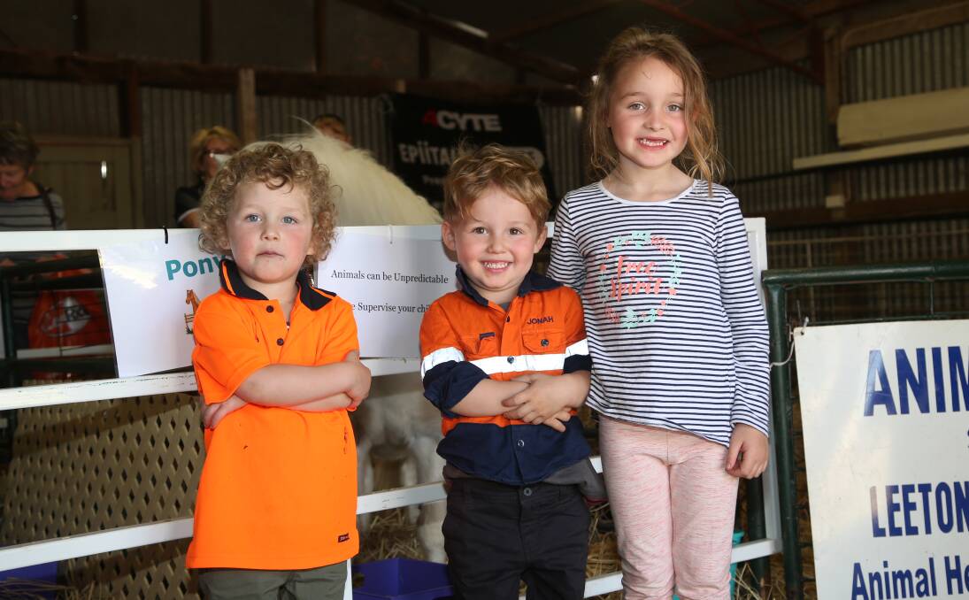 THE Wallace siblings (from left) Duke and Jonah, 3, and six-year-old Ivana-Rose enjoy the Leeton Veterinary Hospital animal nursery at the 2017 show.