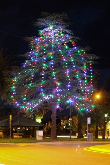 THE latest project from Light Up Leeton, illuminating the pine tree in Chelmsford Place, will be available for year-round community use. Photos - Ron Arel
