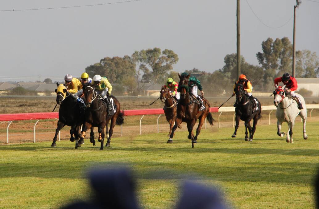BLACK Fusion (on the inside) fights to keep the lead in the home stretch to win last year's Leeton Cup.