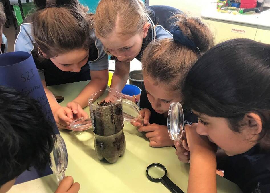 INVESTIGATIVE: St Joseph's Primary stage two students take part in their weekly interactive science lessons with a specialist teacher.