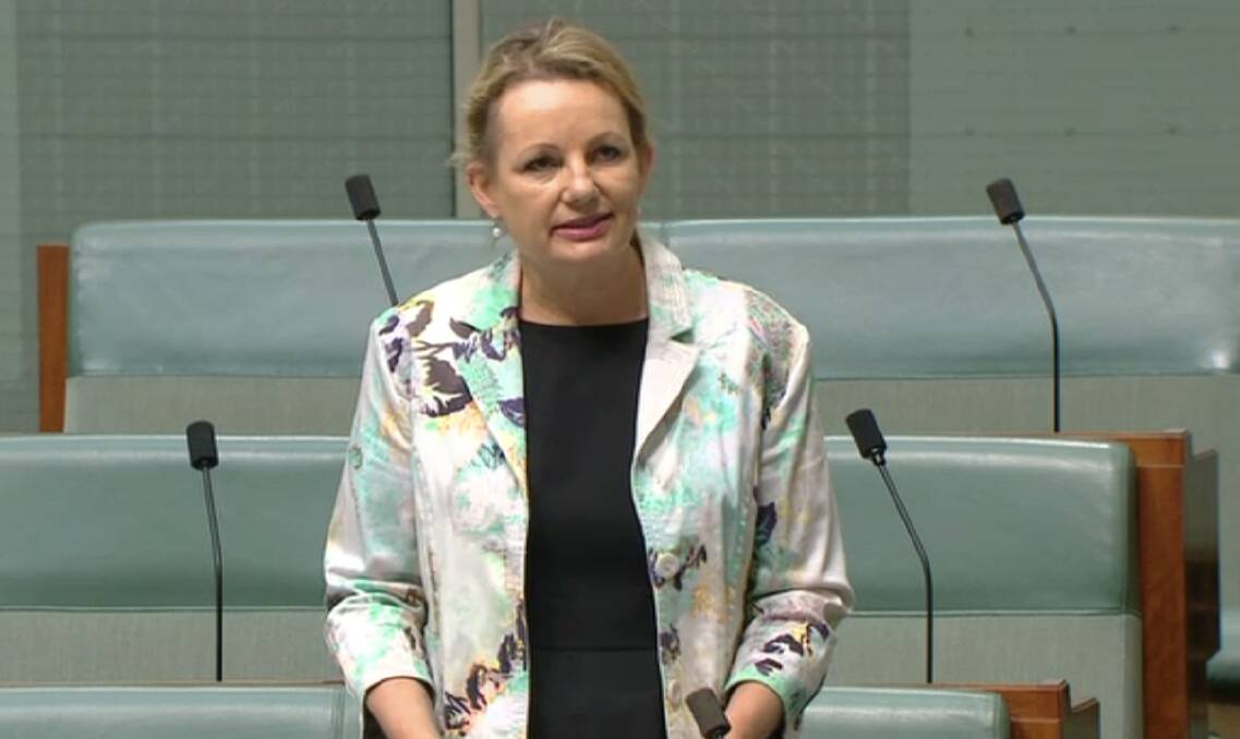 LGBT SUPPORT: Farrer MP Sussan Ley speaking on marriage equality in Parliament on Tuesday.