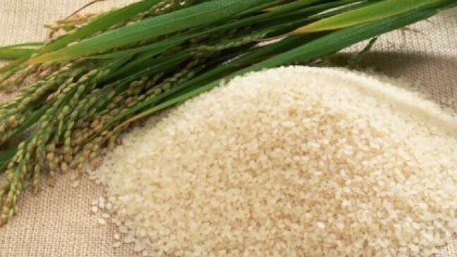 NSW Rice Marketing Board elections announced