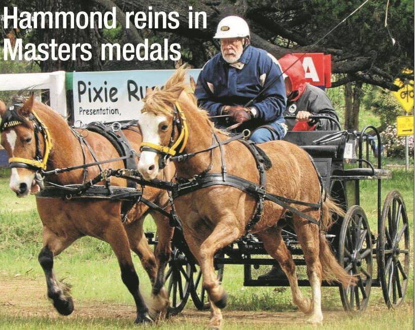 2013: Bruce Hammond drives Ollie and Chief in full flight out of marathon obstacle number one at the 14th Australian Masters Games.
