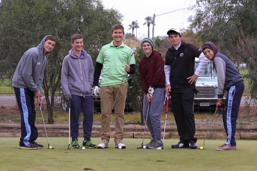 2014: The Friends of Luro and St Vincent de Paul charity golf day attracted many participants, including (from left) Tyh Evans, Matt Pettit, Nathan Lanham, Will Dando, Bailey Stanmore and Jake Wood.