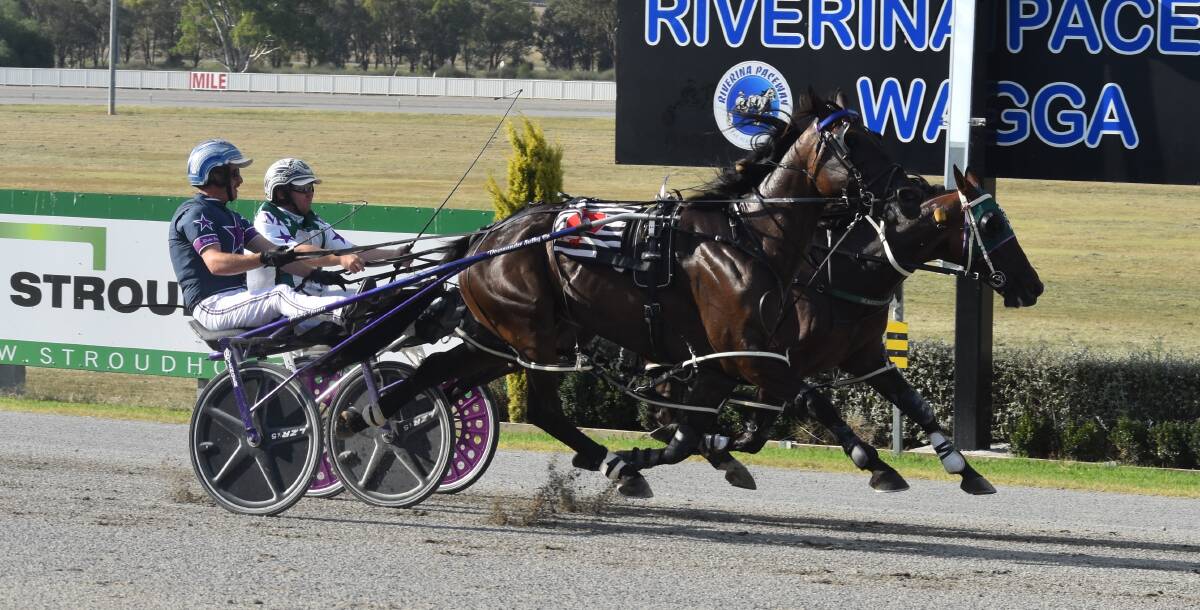 Blake Jones just gets Pablos Art to the line in right of Reece Maguire on Melodys Mischief at Riverina Paceway on Tuesday. Picture by Courtney Rees