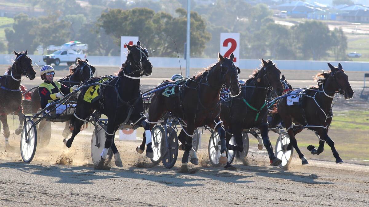 OFF AND RACING: Wagga will host a heat plus the regional qualifier for the new NSW $1 Million Pace next May.