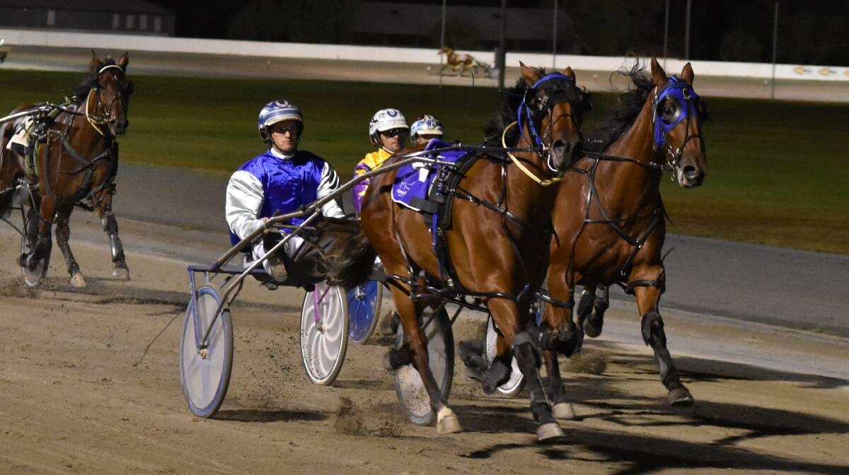 TOP LEVEL: Realnspectacular, pictured winning a heat of the MIA Breeders Plate, lines up in a Vicbred Super Series final at Melton on Saturday night. Picture: Courtney Rees