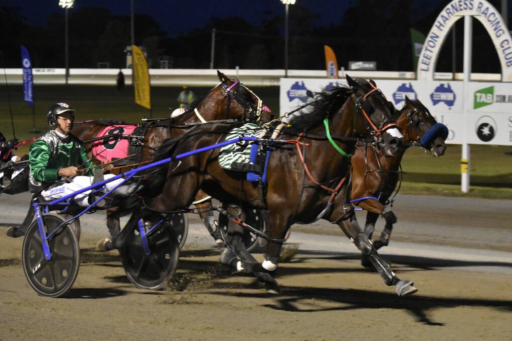 HITTING THE LINE: Clara Clare charges line to take out the Leeton Pacers Cup in track record time on Wednesday night. Picture: Courtney Rees