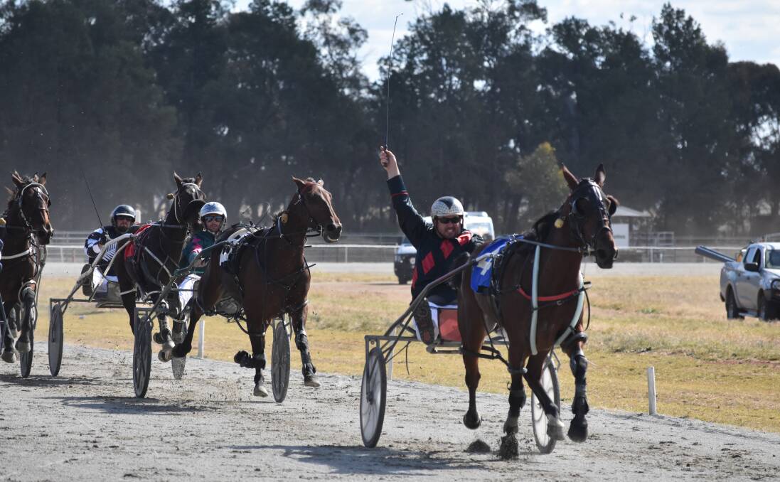 SWEET SUCCESS: Paul Symes celebrates as Love At FIrst Bite heads to the line for his first win as a driver at Coolamon on Sunday. Picture: Courtney Rees