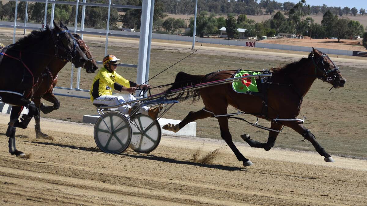 AWAY SHE GOES: Group one winner Molly Kelly was among the winners at the first official trials at Wagga's new harness racing track on Tuesday for Bruce Harpley. Picture: Courtney Rees