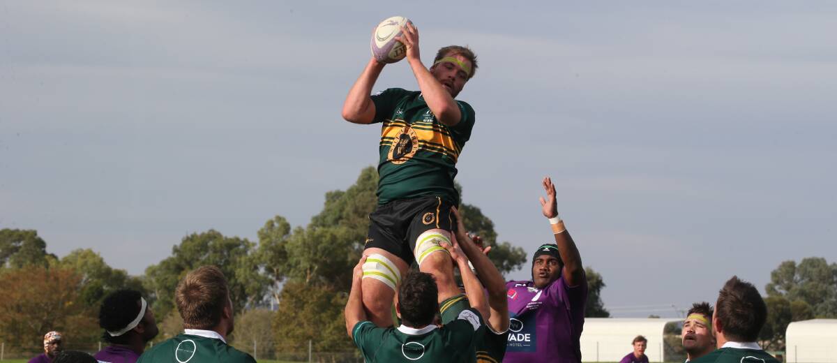 FLYING HIGH: Matt Harris wins a line out for Ag College during their strong win over Leeton to make it two wins to start the season. Picture: Anthony Stipo