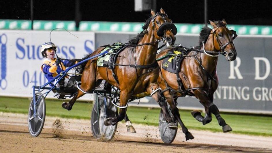 Cameron Hart will drive Hi Manameisjeff in the Miracle Mile after he made it nine straight wins at Menangle in Saturday's qualifier.